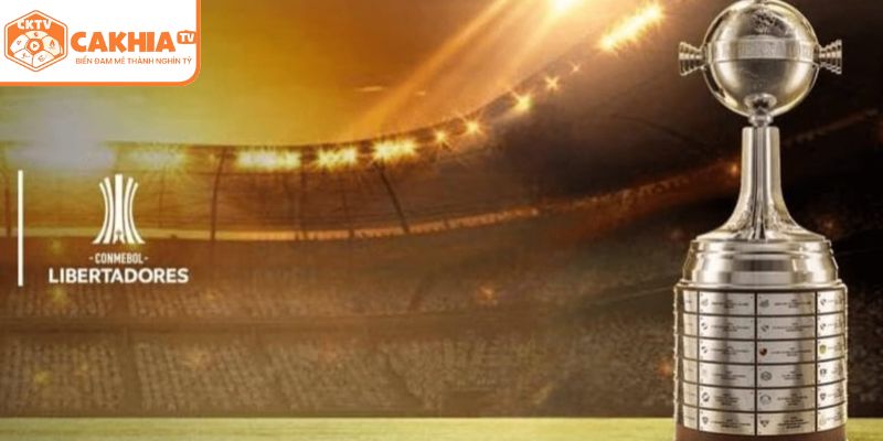 Hình thức thi đấu của giải Copa Libertadores